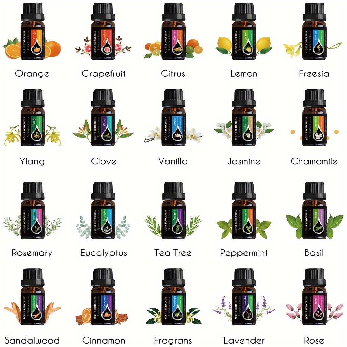 20pcs/set Set Minyak Esensial  - Perfume Fragrance Oil ulasan dan harga